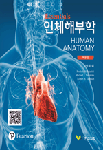 Essentials 인체해부학 (8판)