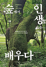 숲에서 인생을 배우다 - 숲과 함께한 5년, 나무는 서두르지 않는다